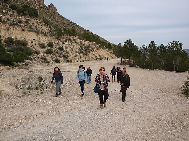 Floracin de Cieza -  El Caico - 61